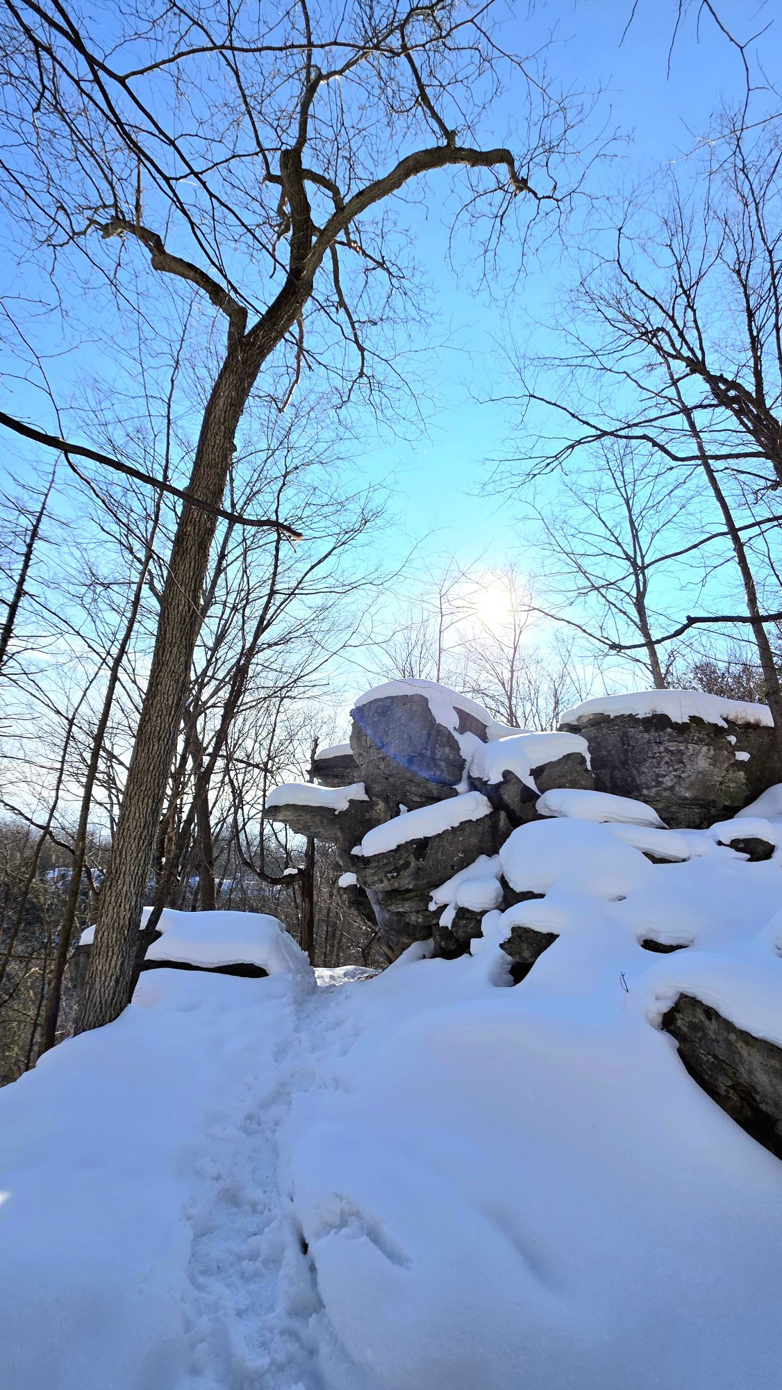 Winter Hiking at Clark Reservation State Park: A Snowy, Slippery, Beautiful Adventure in Upstate NY ❄️🌿