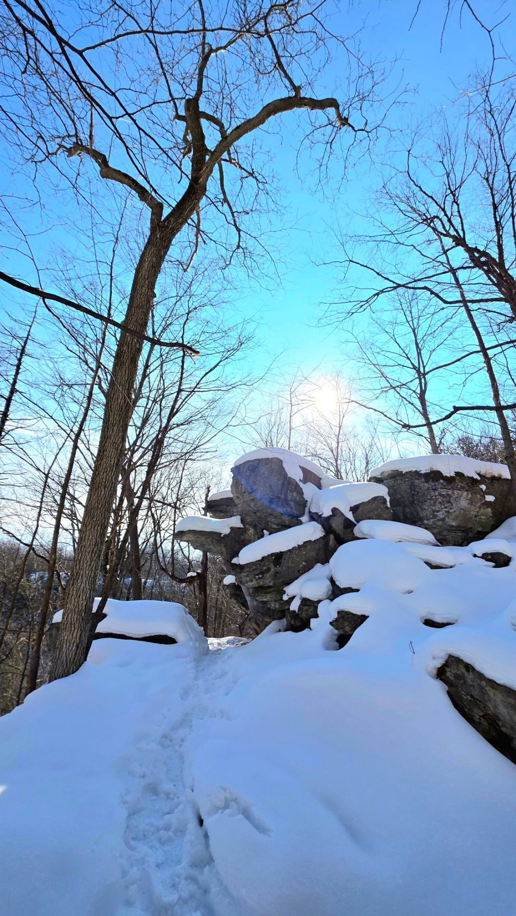 Winter Hiking at Clark Reservation State Park: A Snowy, Slippery, Beautiful Adventure in Upstate NY ❄️🌿