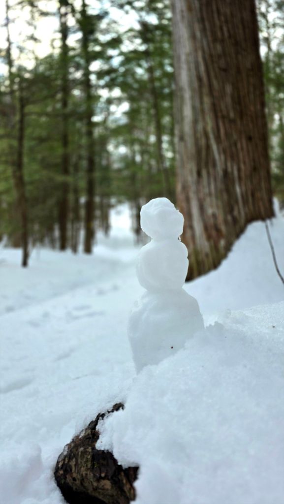 Small snowball stack on snowy trail at Clark Reservation State Park in Jamesville NY during winter forest hike.