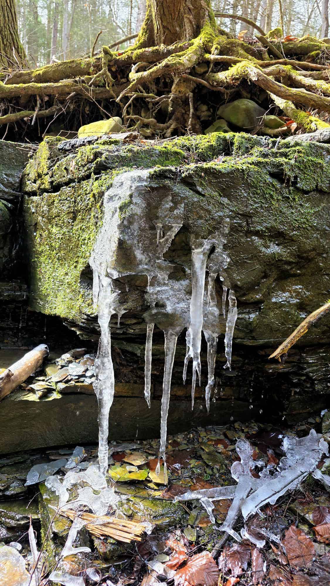 Gratitude #30 – March 2026